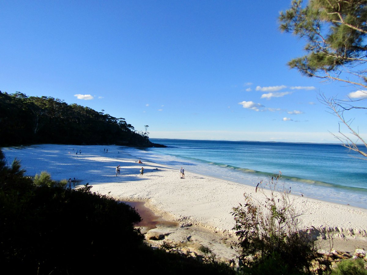 AwayMaja's tweet photo. The spectacular white sand beaches of #JervisBay ๐๐
๐#GreenfieldBeach
๐#HyamsBeach
๐#GreenPatchBeach
๐#MurraysBeach
What a way to spend a few days! ๐๐ฆ๐บ
#FeelNSW #BoodereeNationalPark @NewSouthWales #Australia @Australia https://t.co/4SevBEbfuq