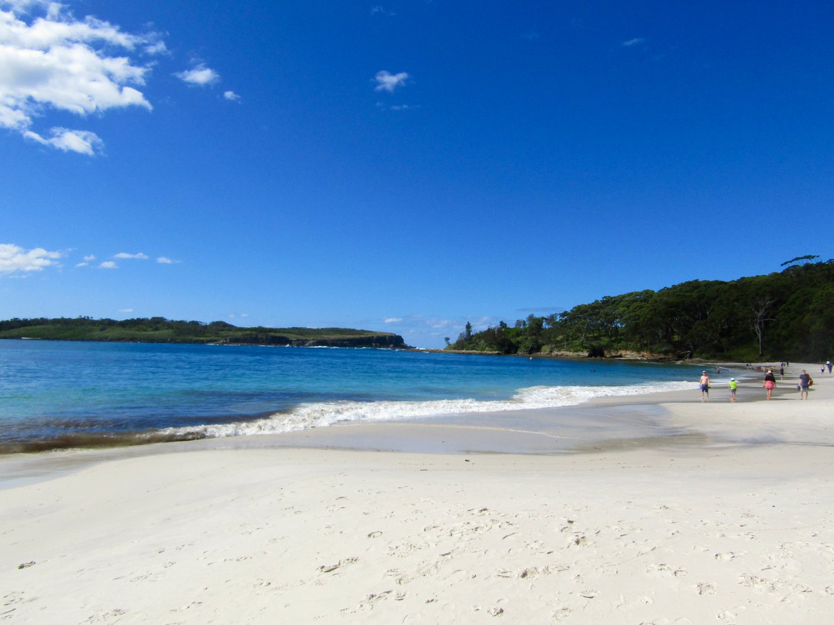 AwayMaja's tweet photo. The spectacular white sand beaches of #JervisBay ๐๐
๐#GreenfieldBeach
๐#HyamsBeach
๐#GreenPatchBeach
๐#MurraysBeach
What a way to spend a few days! ๐๐ฆ๐บ
#FeelNSW #BoodereeNationalPark @NewSouthWales #Australia @Australia https://t.co/4SevBEbfuq