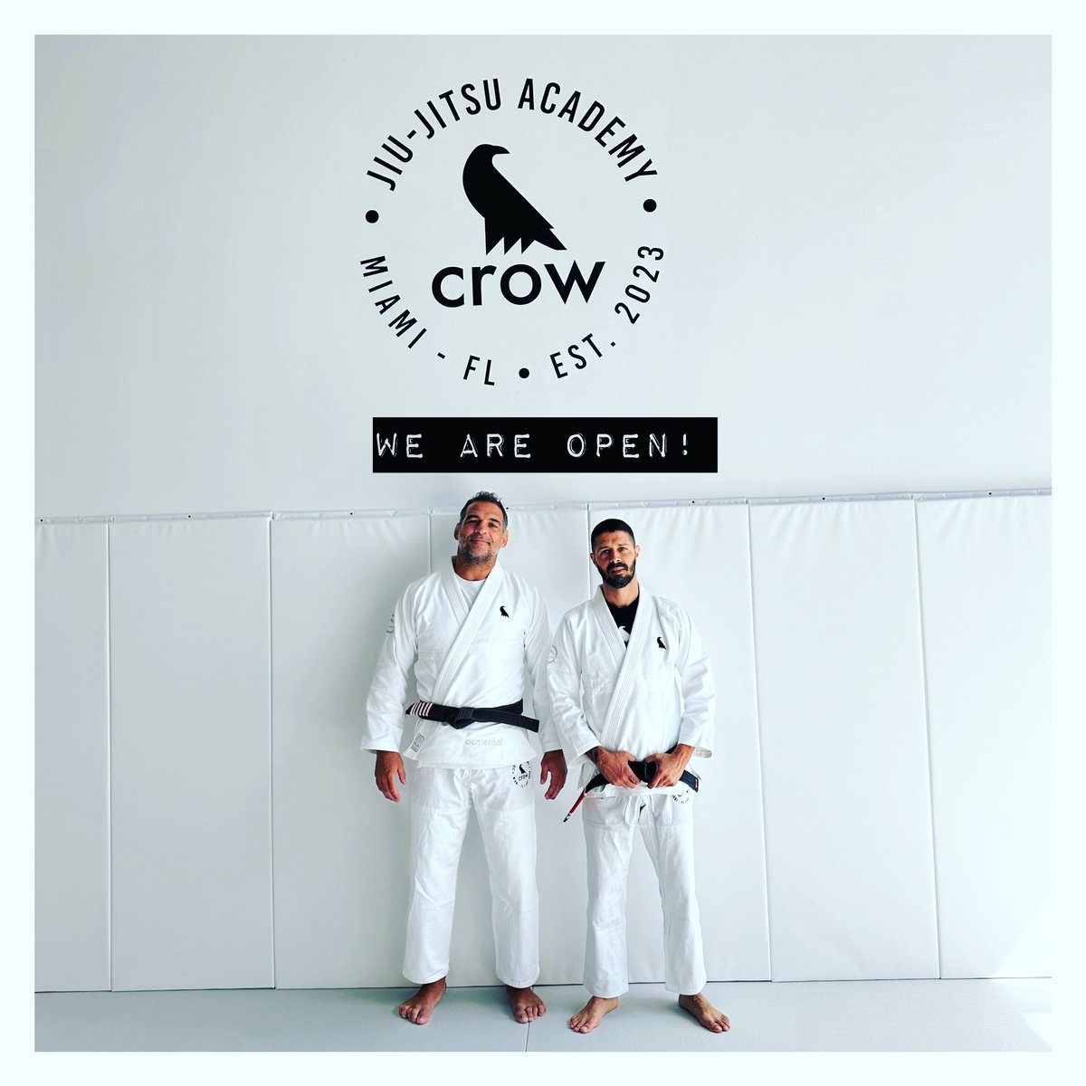 Crow Jiu-Jitsu tweet media