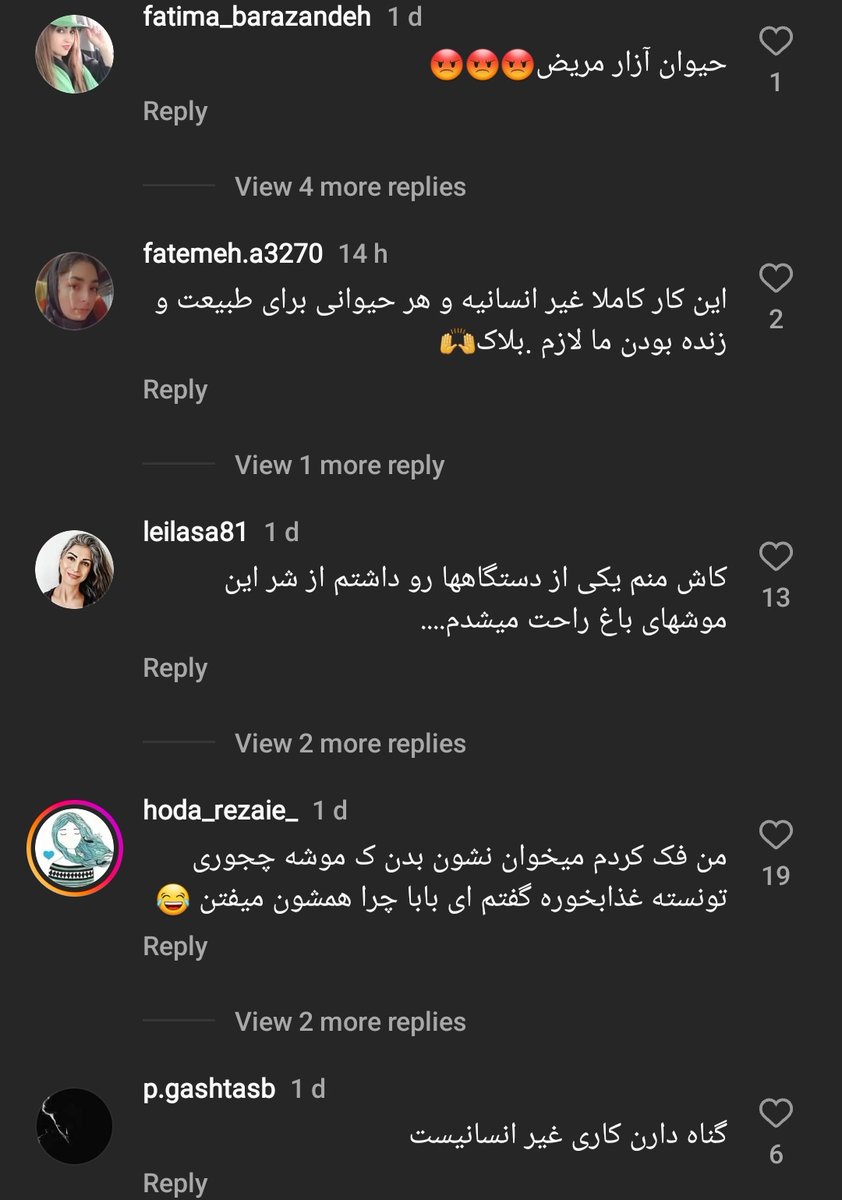 Maneli8b's tweet photo. یکی اومده کلیپ آموزش ساخت تله موش زنده‌گیر ساخته حامیان ریختن رو سرش... عزیزم تو موش از نزدیک ببینی کل خونه رو با بنزین میشوری🤨 https://t.co/EmfubeMO4y