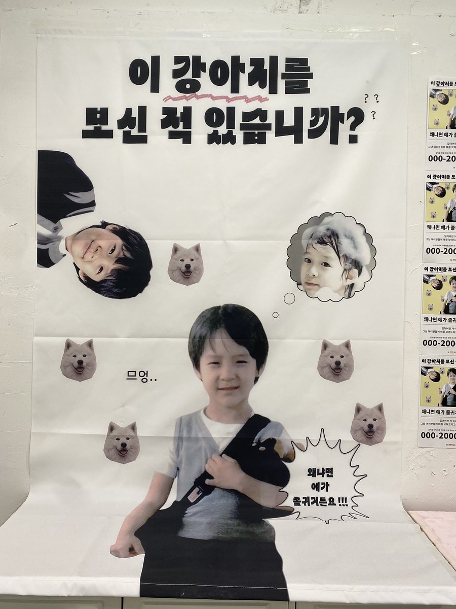 jeno_10538's tweet photo. 이 강아지를 보신 적 있습니까???
녜‼️
진짜 귀엽고 사랑스러운 강아지💕를 
자랑합니다
사랑스러운 아이니까 많이 많이 예뻐해주세용🥹
 #므엉_강아지를_본_적_있어요 https://t.co/xJ8oE3HN4f