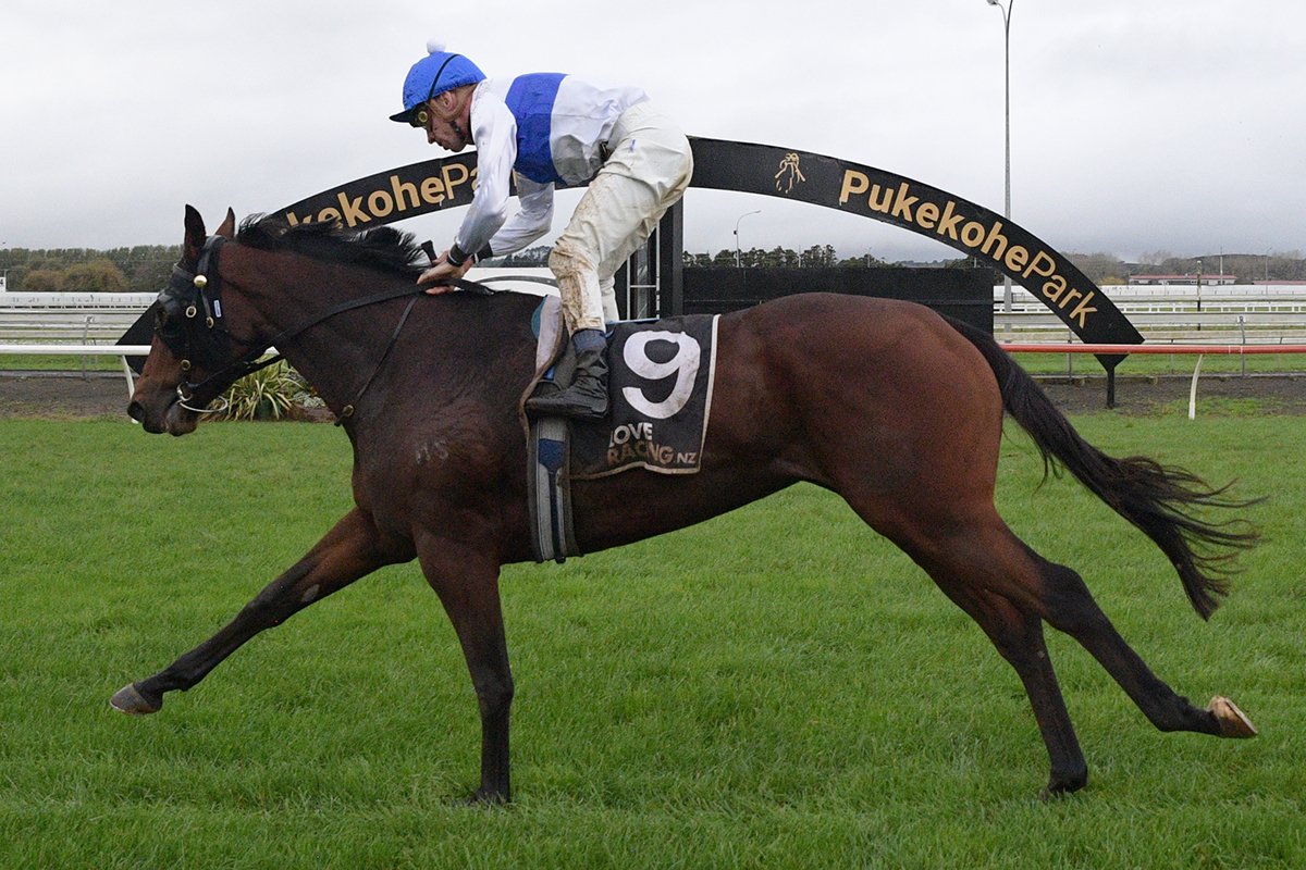 Ellerslie_Races's tweet image. Cheval D'Or and Michael McNab wins the Trelawney Stud Championship Stakes for trainer Tony Pike