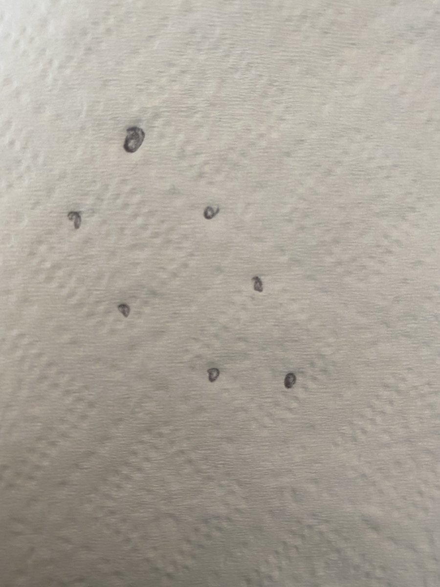 nuforcbot's tweet image. Summary: There were 7 lights moving in the same direction. And they disappeared slowly one by one as they were traveling through the night sky.

Location: Ludington, null, NA

Date of Event: 10/10/20 23:30

#ufotwitter #uaptwitter #Ludington