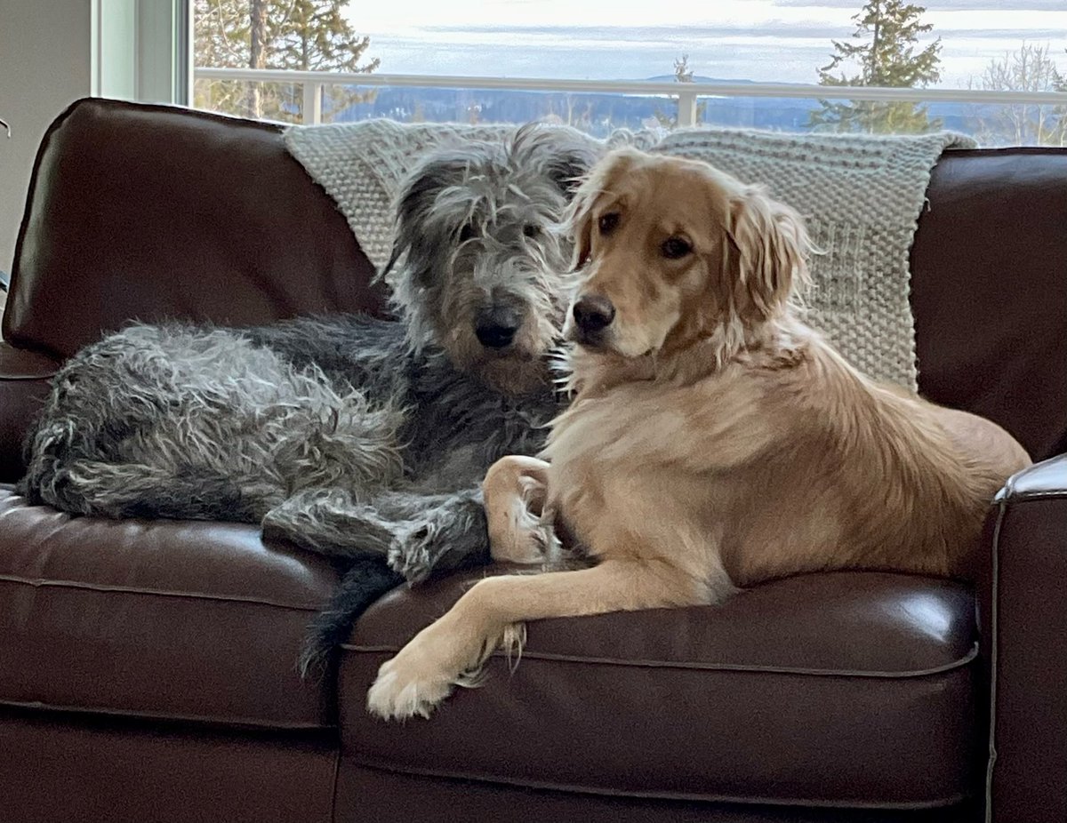 FLeboe's tweet photo. @bunsenbernerbmd Casey and Finnegan. IYKYK. https://t.co/DqBcK7YX6O