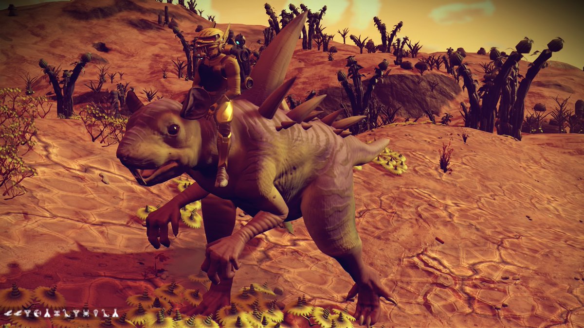 poisonelvis's tweet photo. I'ma keep Him #NoMansSky #hellogames #euclid #ratzilla #weird #shiphunting #virtualphotography #explore #PS4share https://t.co/PMLLxSUdn6