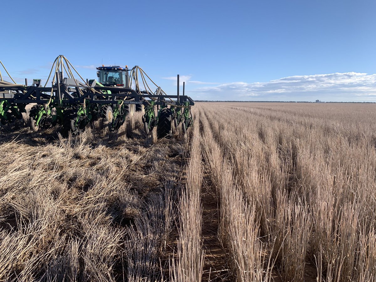 OutlookAg's tweet photo. Canola planting underway at Edgeroi into stripper front stubble #stripperfront #wintercrop23 #canola https://t.co/mYcEmAC2Xz