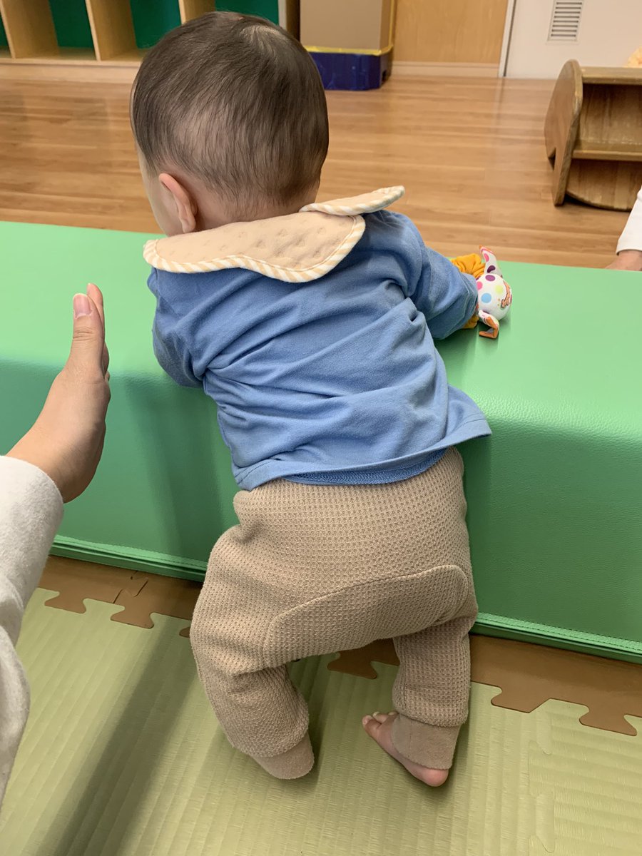 🐾🍭ぽんちゃん🐾🍭 tweet media