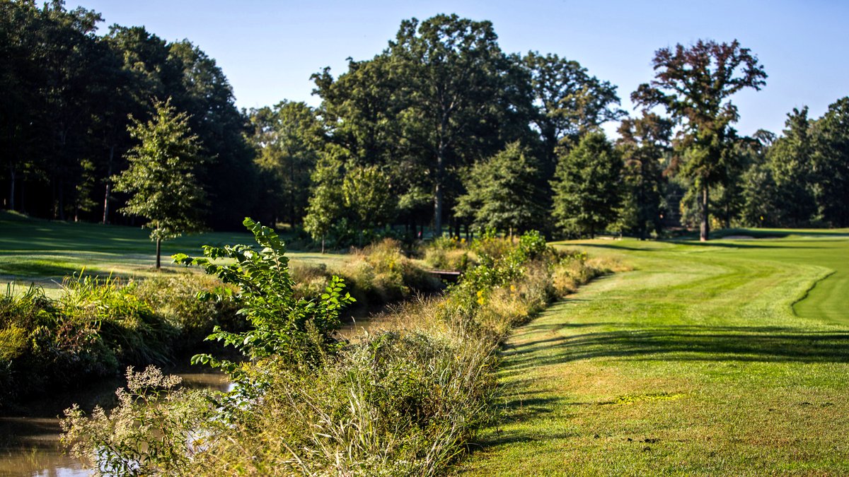 Being a little “rough around the edges” can be a good thing for a golf course, especially when it comes to having buffers around bodies of water  ➡️bit.ly/41vBsm8