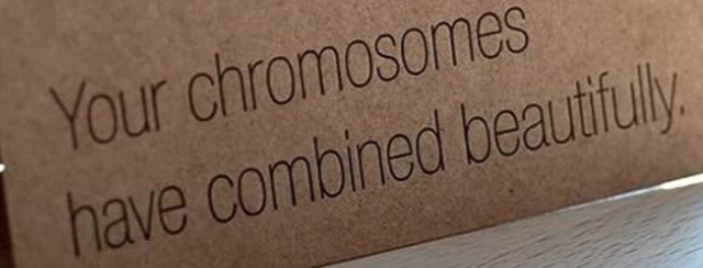 Kristinapi52660's tweet image. We all are "Flawed mutants"
#chromosomalabnormalities #science #beyondscience #hopekook #followforfollow