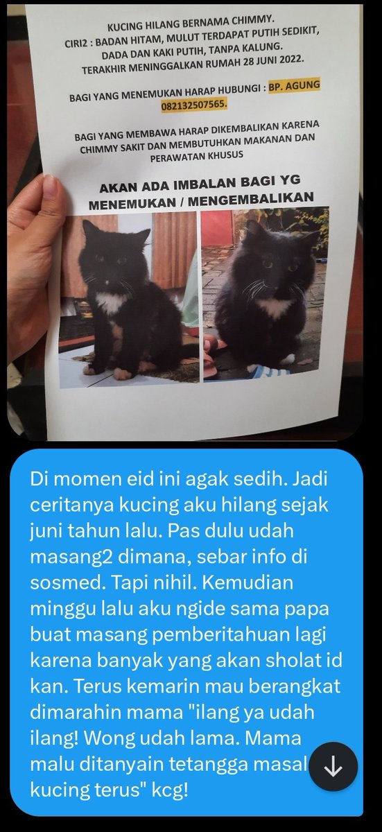 kochengfs's tweet photo. 🐈 Padahal aku aslinya masih ngga nyerah. Tiap malam kudoakan. Karena dia udah 10 tahun sama aku, dan aku kangen banget sama dia. https://t.co/Rbs7WizHoz