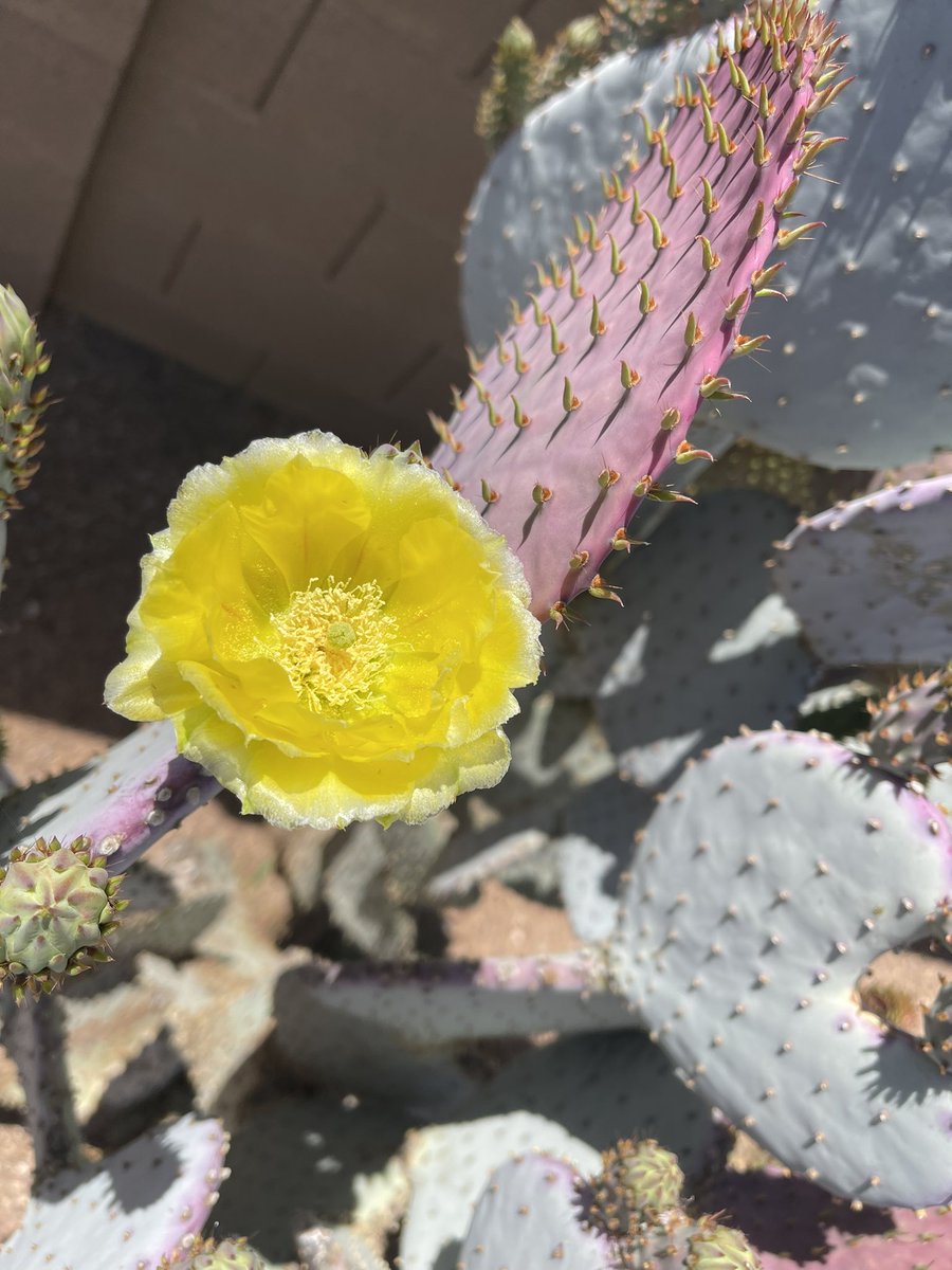 3ussim's tweet image. Yesterday there was only one, today seven.❤️