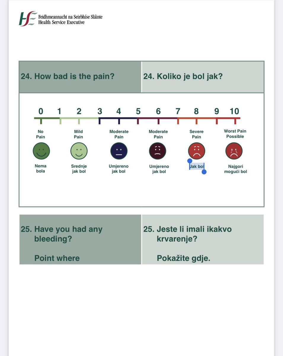 lally_angela's tweet photo. Promoting pain assessment & management including resources @ConnollyNursing with my CPC colleagues @NPQD_CHB The HSE multilingual phrase guide is a wonderful resource for patients with language barriers - easily accessible on google! #nursing values #QCART https://t.co/KktYnV21Pu
