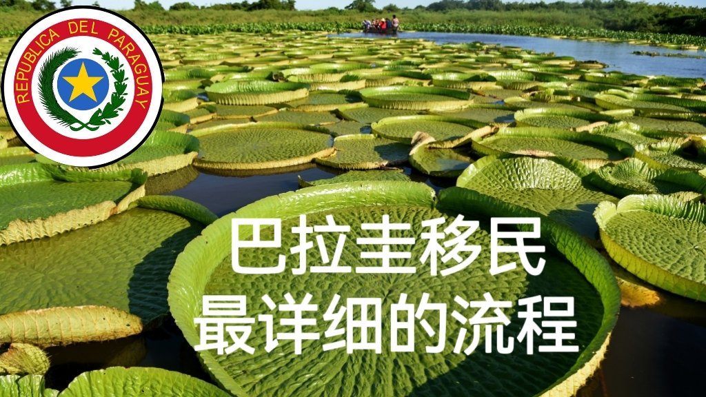 paraguayvisa's tweet photo. 1.准备申请材料
需要出生证明和无罪证明，结婚证，学历证明(如有)并把它们翻译成西班牙语。
2.办理巴拉圭签证
3.获得签证后登陆巴拉圭
4.要去一些政府部门办理移民手续，比如体检，拍照、采集指纹和签署一些表格。
5.申请经过等待后领取留居卡

巴拉圭移民相比欧美国家排期等待已经是非常的快了 https://t.co/vn3KNDij8N