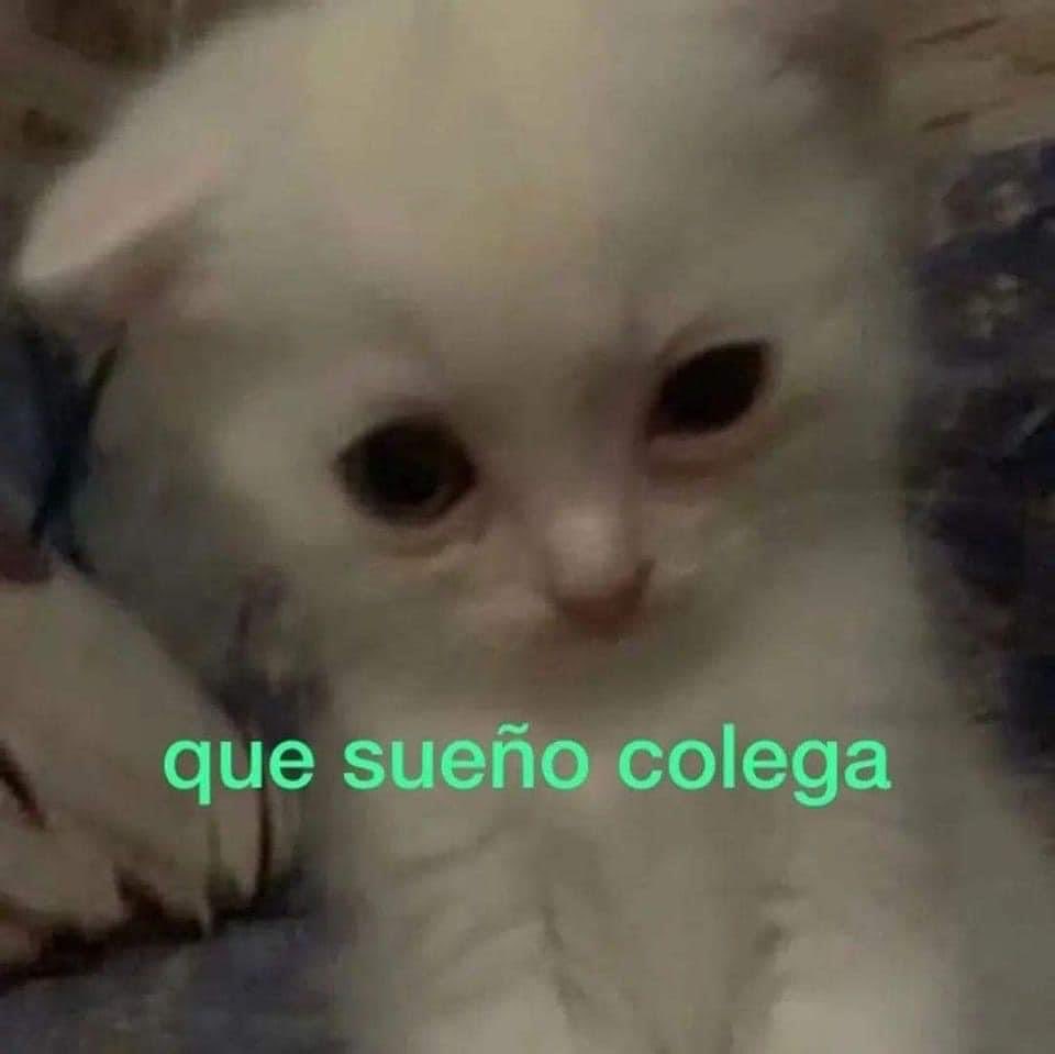 fervdzzz's tweet photo. Yo siempre https://t.co/yGRiJgs9vR