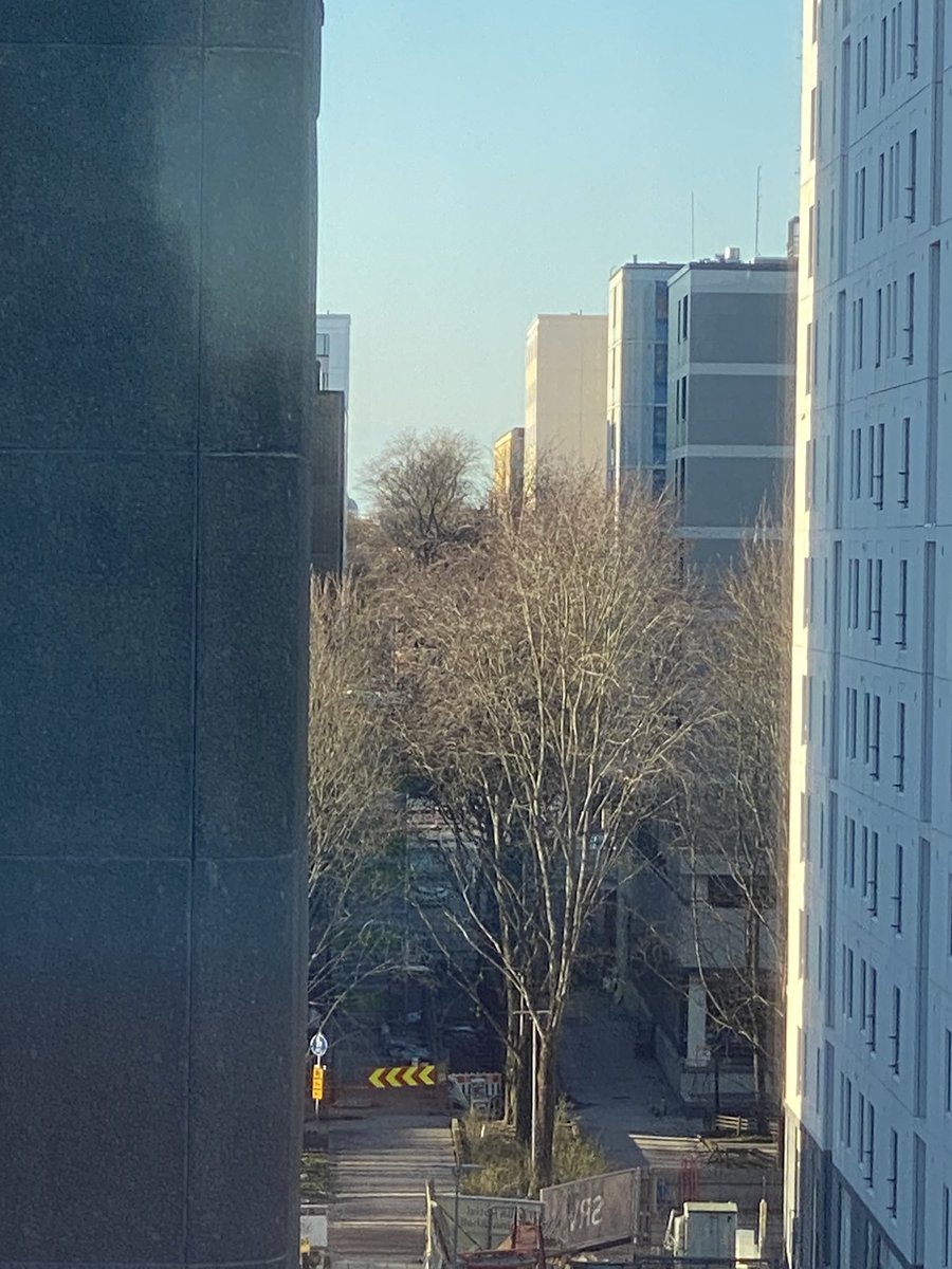 C_learning_net: RT @IanNairn: Waking up to a wonderful clear blue sky here in Helsinki the tree between the buildings just stood our & just wanted to wish everyone a very happy Earth day @EarthDay - let’s all enjoy & make a difference https://t.co/Seeu8ddXYE