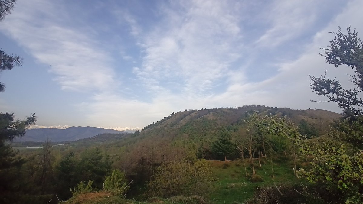 BhatMohsin141's tweet photo. فراق یار کی بارش ملال کا موسم ،.          
ہمارے شہر میں اترا کمال کا موسم. https://t.co/Mj8sJXZ2RU