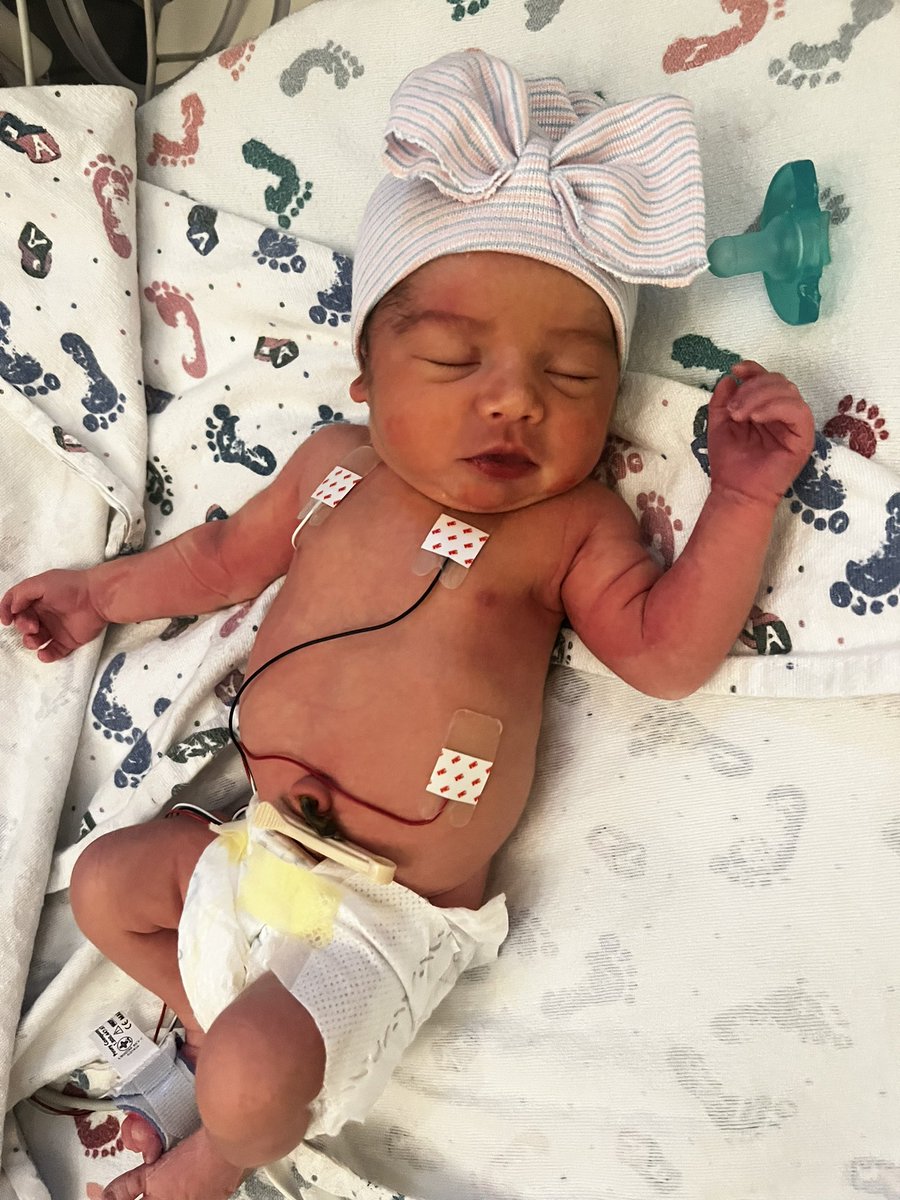 Arabella Wang tweet media