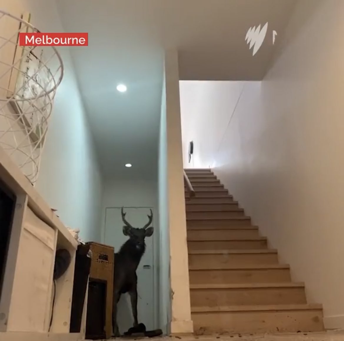 Tito Ambyo (arsisto.bsky.social) tweet media