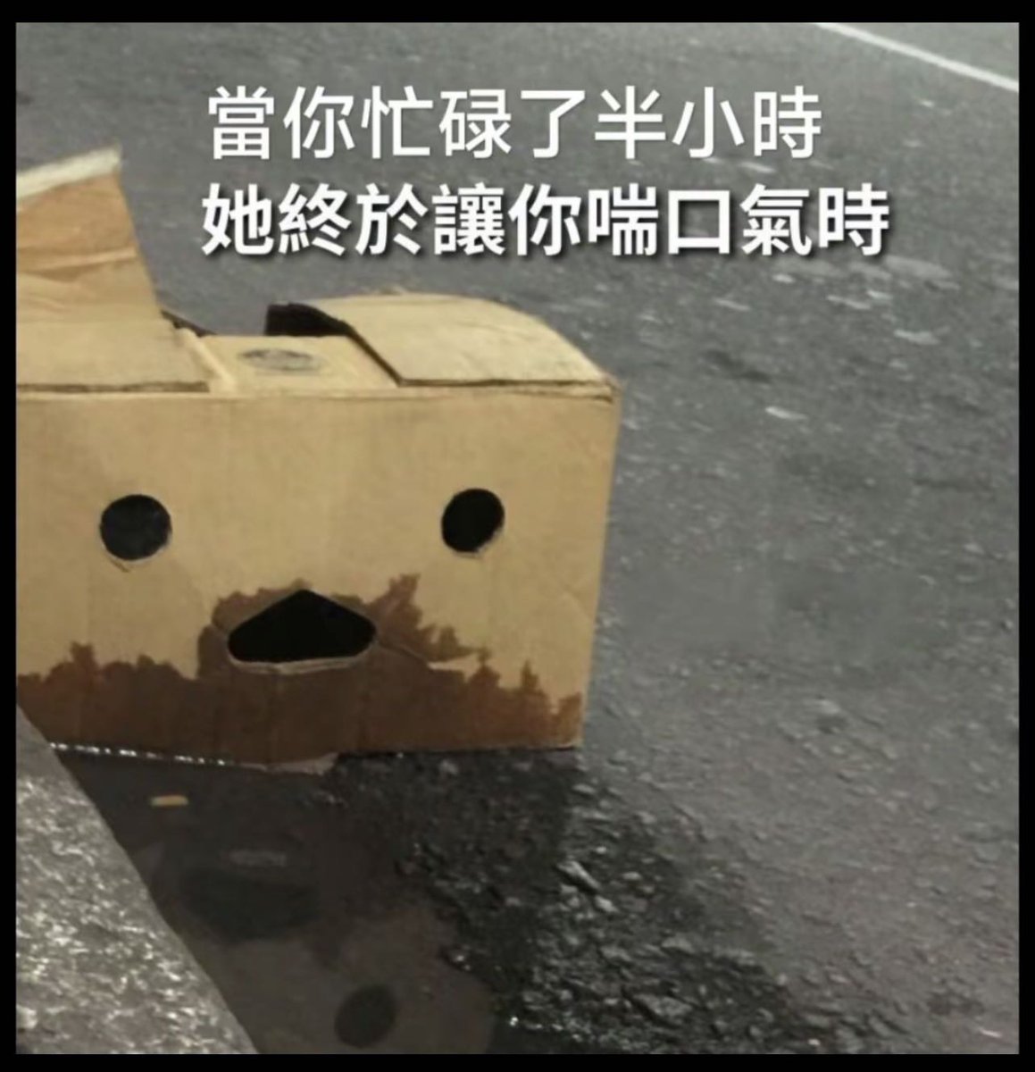 没被舔过的人问一下真滴是这样吗 https://t.co/B9oy9CuwCE