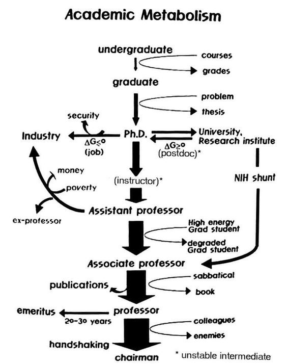 Research_Clue's tweet photo. Academic Life
#phd #PhD #phdlife #phddone #phdlife #postdoc #research #search #action #forward #ResearchPublications #PeerReviewed #Academic #journals #thesis #project #Dissertation #Academia #Educatioal #SpreadResearch #adviser #guide
@PhD_Adviser https://t.co/hb26Ng3EgA