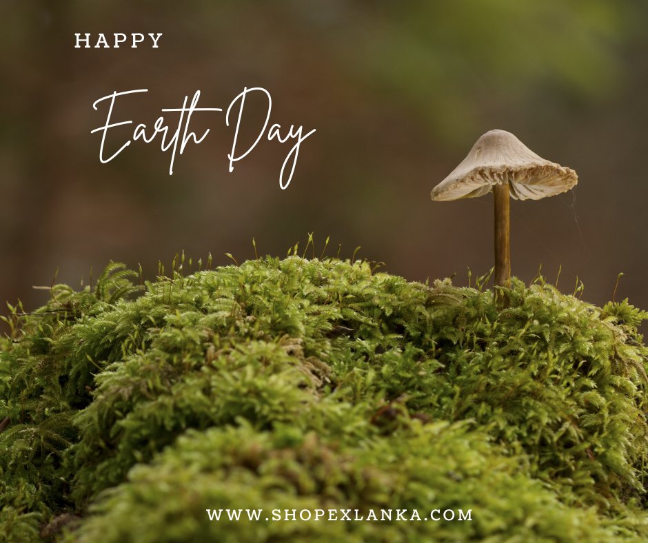ShopexLanka's tweet photo. Let's make an effort to reduce our carbon footprint and make sustainable choices that will help protect the planet.
.
#saveourplanet #savetheplanet #loveearth #earthday🌎 #happyearthday🌎 #worldearthday #saveearth #earthdayeveryday #earthday2023 #happyearthday #shopexlanka https://t.co/DInuiZKtAc