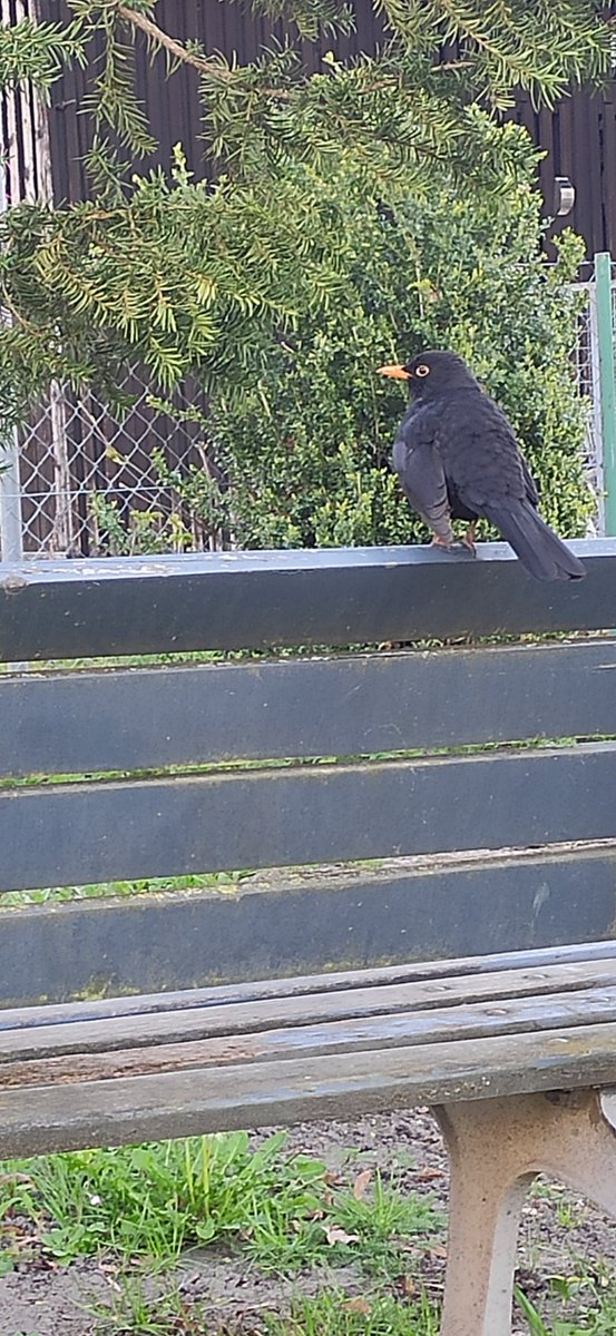 zoobyte tweet picture