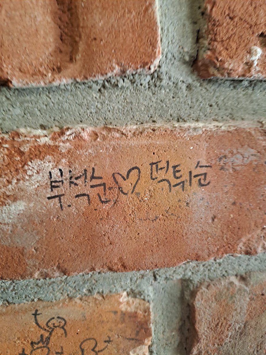 롯데월드왔는데이게뭐야 ㅜ