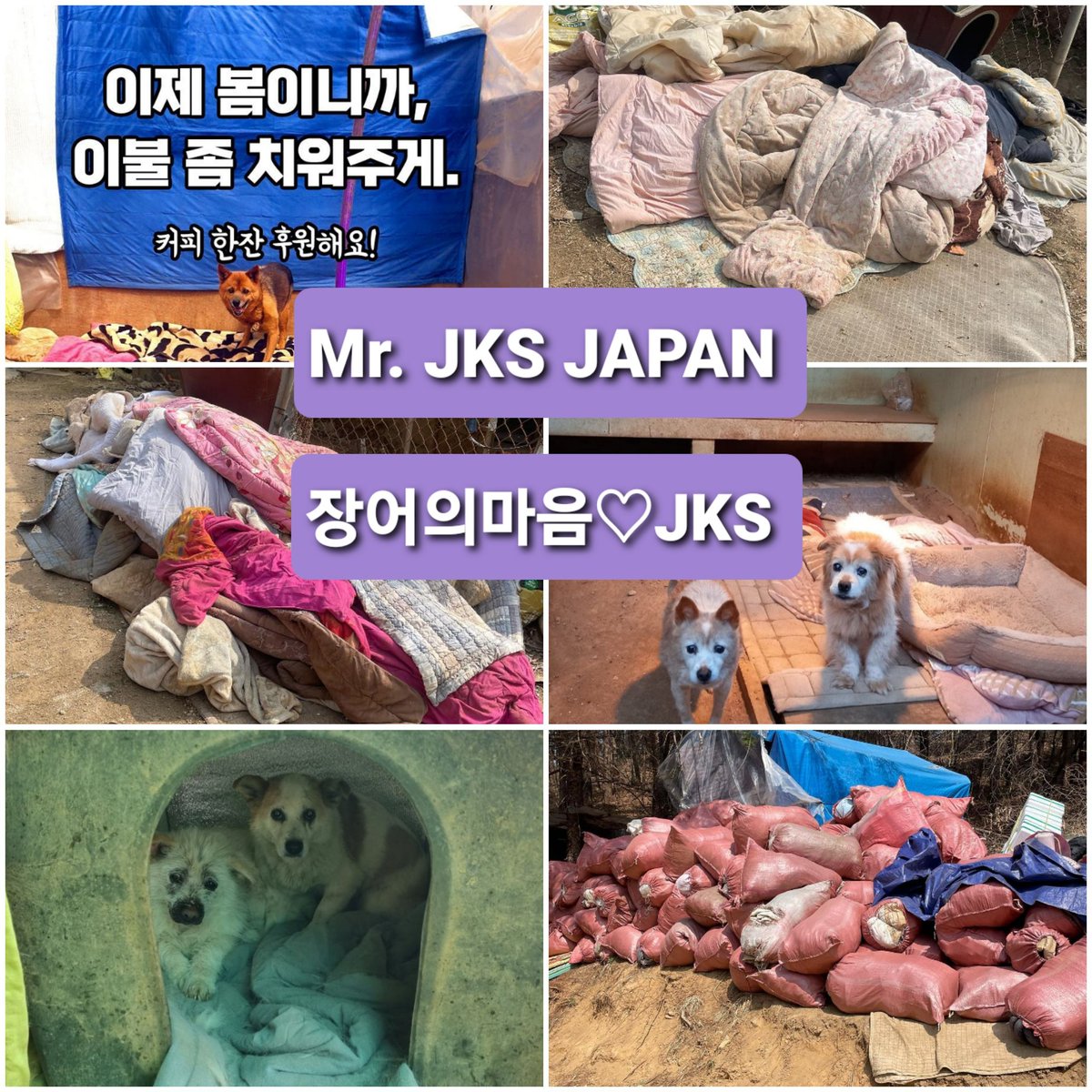 crij0804's tweet photo. [4월 단체 기부]
1. Mr. JKS JAPAN
2. 장어의마음 ♡JKS
 
애신동산의 봄을 준비하기 위한 "겨울 이불 폐기"비용을 단체 장어님들께서 기부해 주셨습니다!
대단히 감사합니다!

4월 봉사단 장어님들 고생많으셨어요! https://t.co/X0zCPHt8Hj