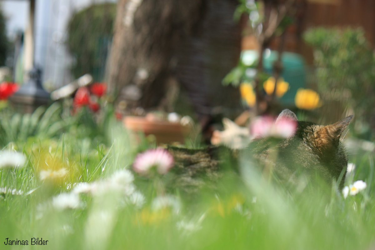 What a nice day! 

Made with <a href="/CanonDEU/">Canon Deutschland</a> EOS 80D