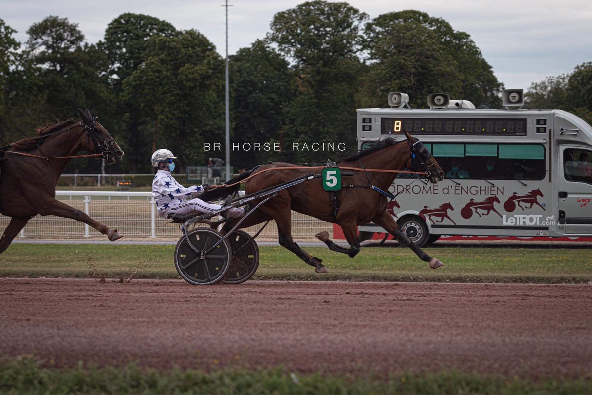 YppiqueTrot tweet media