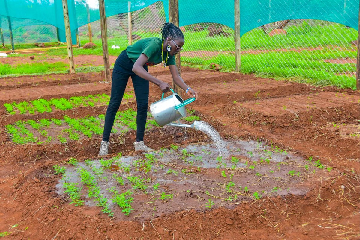 ChdKenya's tweet photo. Happy #EarthDay.

Follow us as we celebrate and invest in our planet with our
mentees at our tree nursery in Amboseli. 

#InvestInOurPlanet #EarthDay2023
#CHDConservationKenya https://t.co/XX3Tlu085S