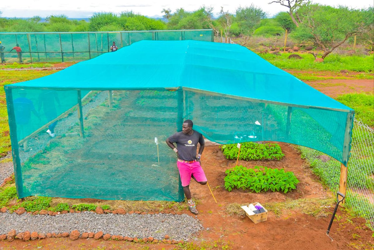 ChdKenya's tweet photo. Happy #EarthDay.

Follow us as we celebrate and invest in our planet with our
mentees at our tree nursery in Amboseli. 

#InvestInOurPlanet #EarthDay2023
#CHDConservationKenya https://t.co/XX3Tlu085S