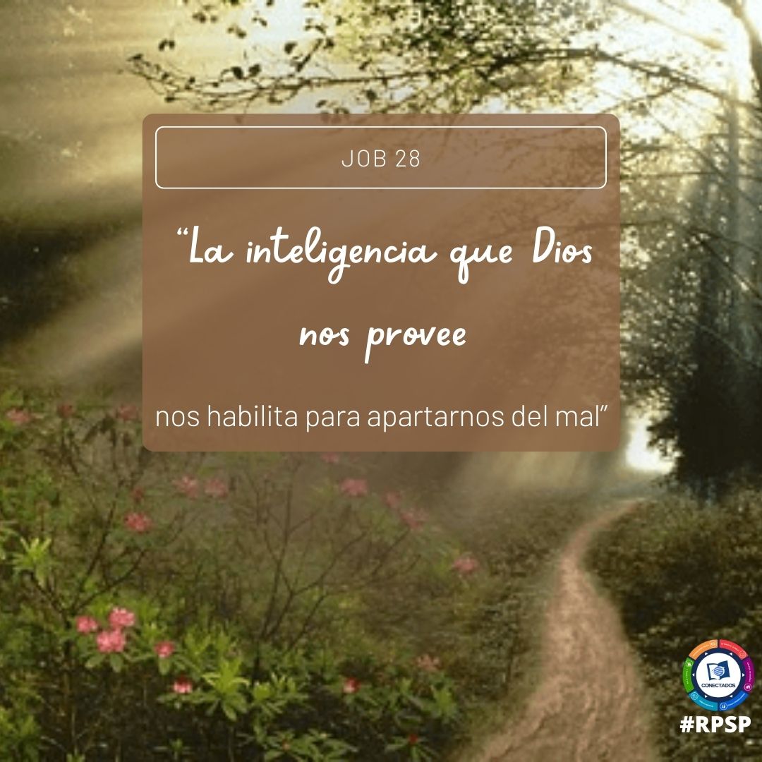 TonnyAndrews's tweet photo. “La sabiduría se obtiene cuando se teme a Dios. Además, Dios nos concede inteligencia para detectar el mal y alejarse”.
#CONECTADOS🔌 #PrimeroDios #rpsp #Job28 #CuscoA #MSOP #UPSur https://t.co/dCvWp1MZkE