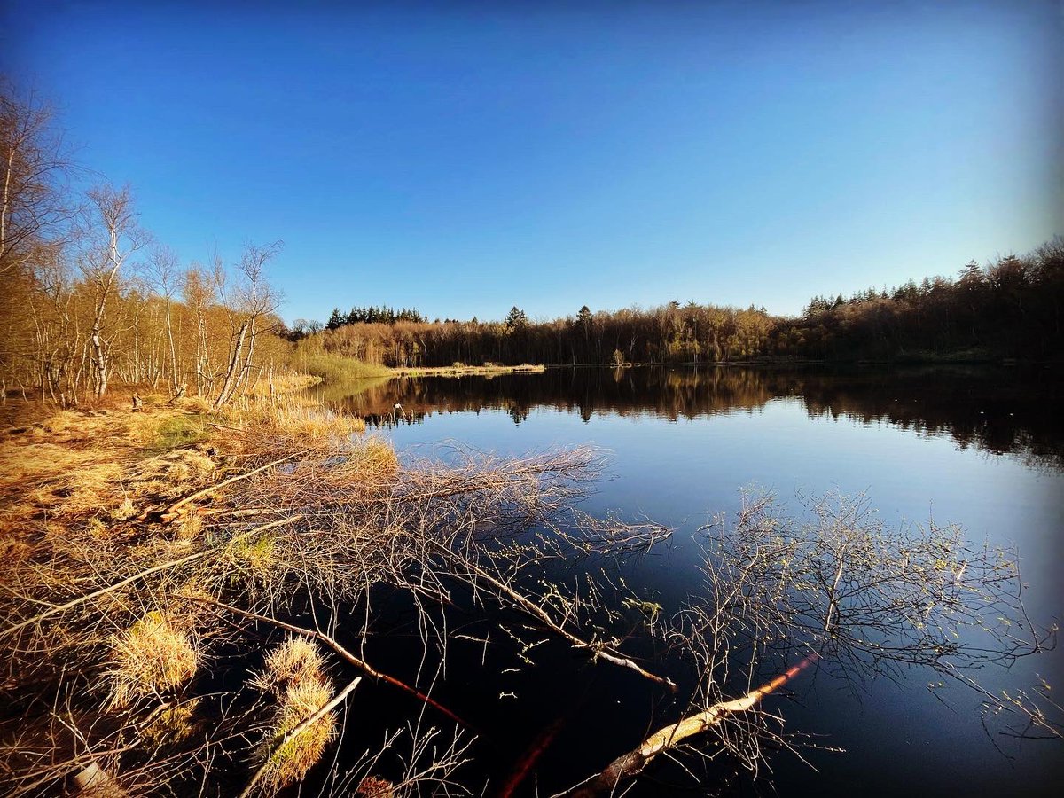 The first ride of spring, with horses, ducks, deer and me all up early to take on the world. 🙂

Also: now training for a big ride around the #øresund in June. Ping me if you want to join. #cyclingphotos #CyclingDK