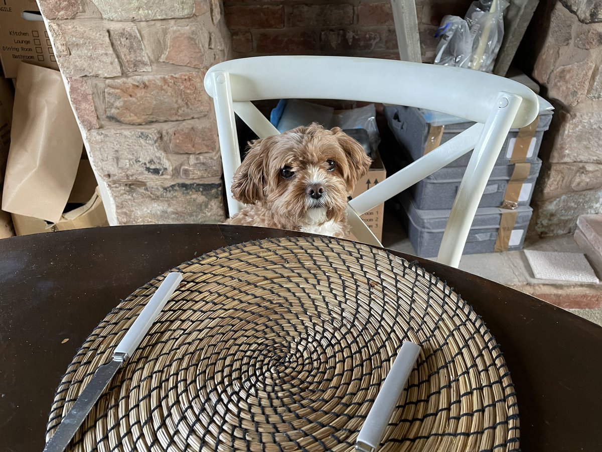 Where is my breakfast?