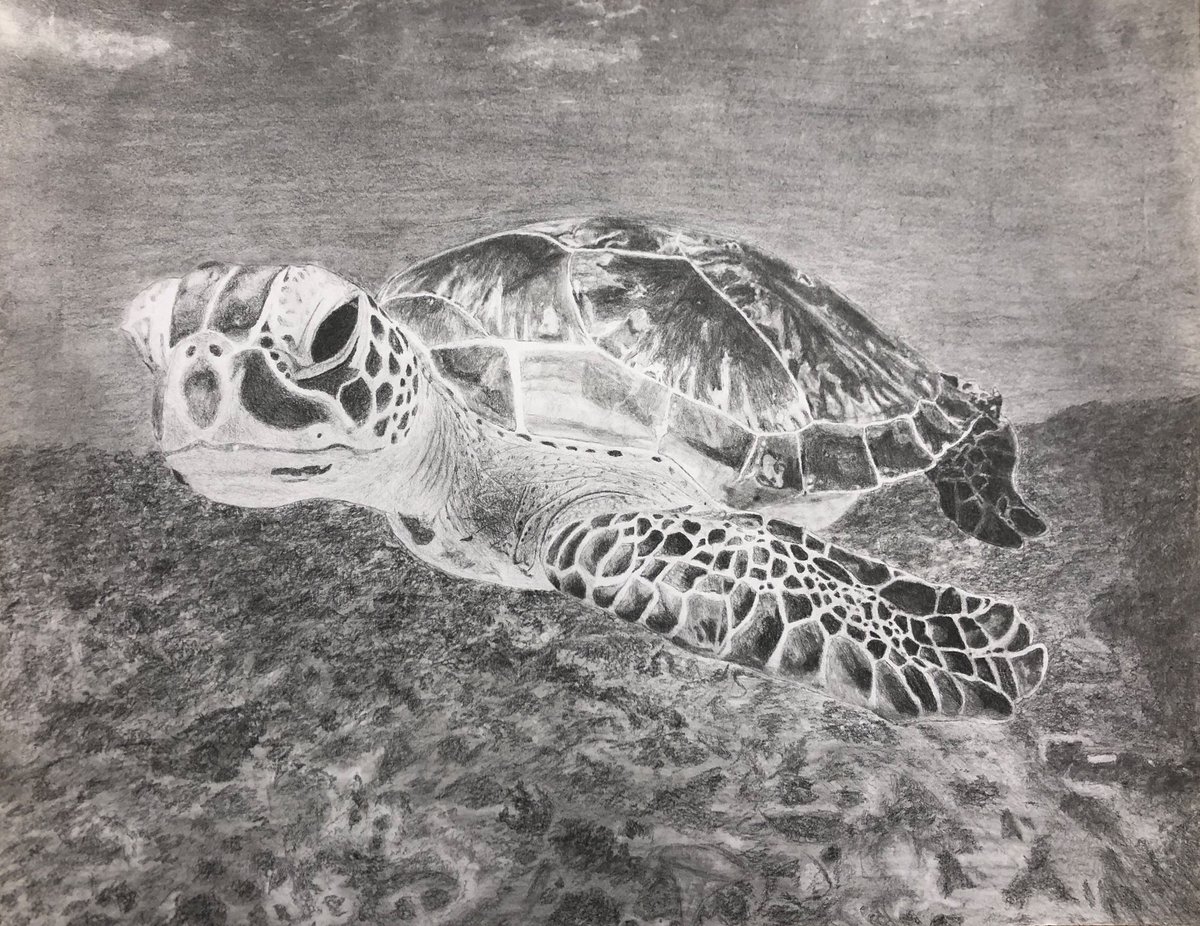 Stunning work from our Gr.9 students -Classic Tonal studies of animals using the “grid” method for scaling. Students practice patience, focus, quieting their minds &amp; delicate pencil shading techniques to build art skills. <a href="/OLQWCAarts/">Our Lady Queen of the World Catholic Academy Arts</a> @OLQWCA <a href="/YCDSB/">York Catholic District School Board</a> <a href="/DomenicScuglia/">Domenic Scuglia -</a> @JohnRHeinrich