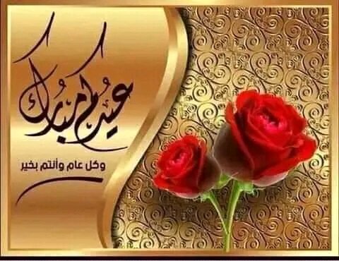 سوره مريم قال تعالي( وكانت آمرآتي عاقر)البعض منا لايعرف معناها عاقر معناها بتلد ولايعيش لها مولود فلذلك وعد الله(س)ذكريا بيحيي يعني لايموت واوتي الحكم وهو صبيا وكان لايلعب ولايلهو مثل الصبيه يعني الذي لا تلد هي العقيمه مختصر 
هداكم وهدانا الله لما فيه الخير والنفع والصلاح