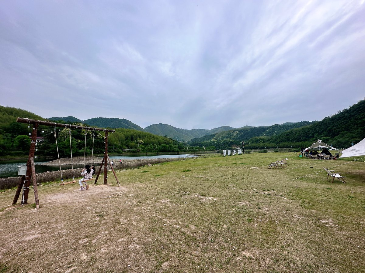 折欢 tweet media