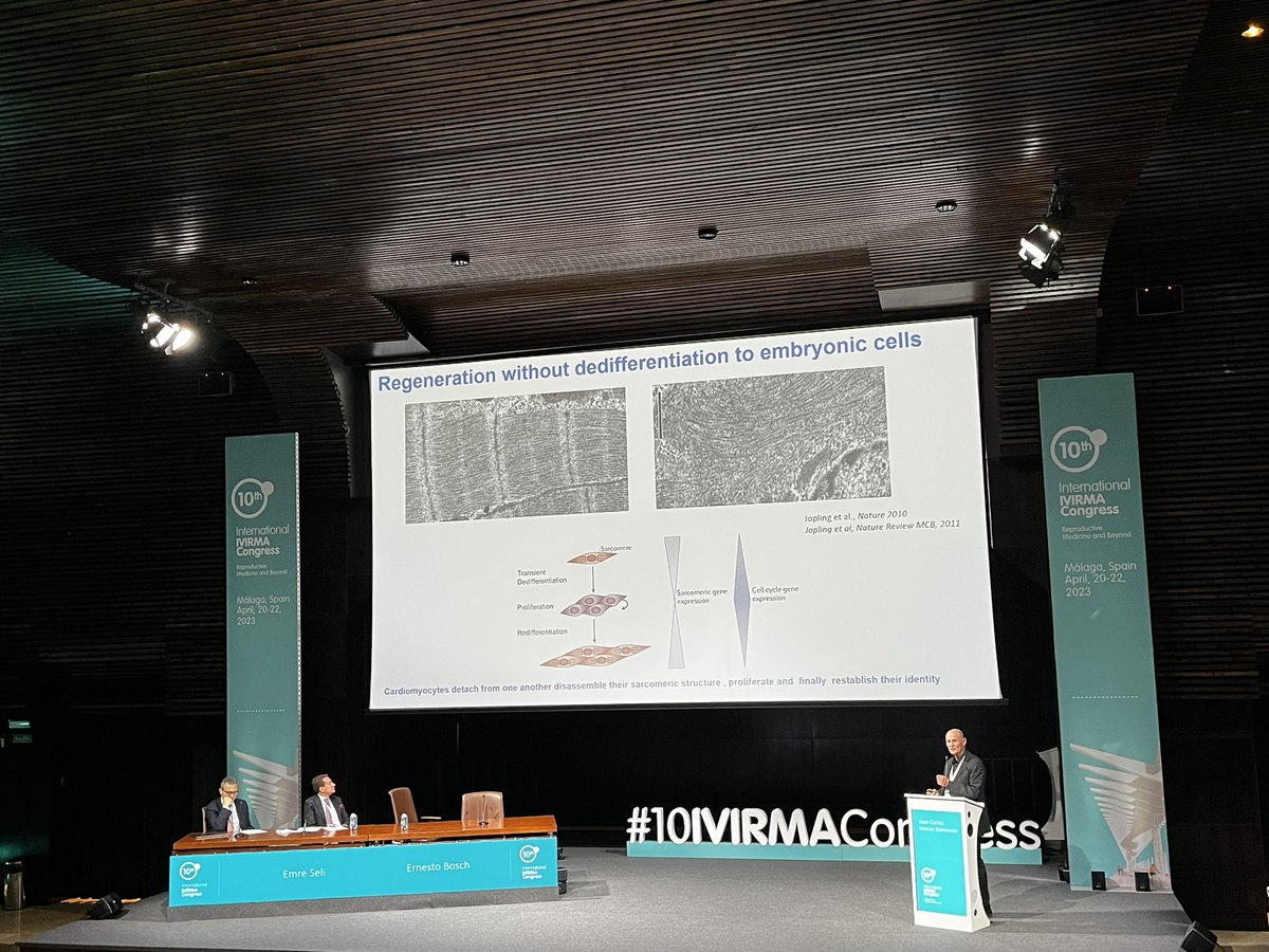 What awaits us in the future? This is the topic for the last session of the #10IVIRMACongress with doctors Seli and <a href="/BoschErnesto/">Ernesto Bosch Aparicio</a> as a chairs. The first presentation is led by Professor Izpisua, a reference in the study of the human genome <a href="/IVIRMAGlobalEdu/">IVIRMAGlobalEducation</a> <a href="/thermanetwork/">RMA Network</a>