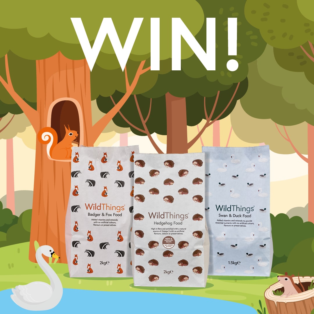 We want to encourage going out and feeding some amazing wildlife in their local area. So, we are giving away all varieties of the WildThings range!

To enter

🦊 Tag a friend who loves all things wildlife
🦔 Like and retweet this post
🦢 Follow our page

Comp ends 30th April
