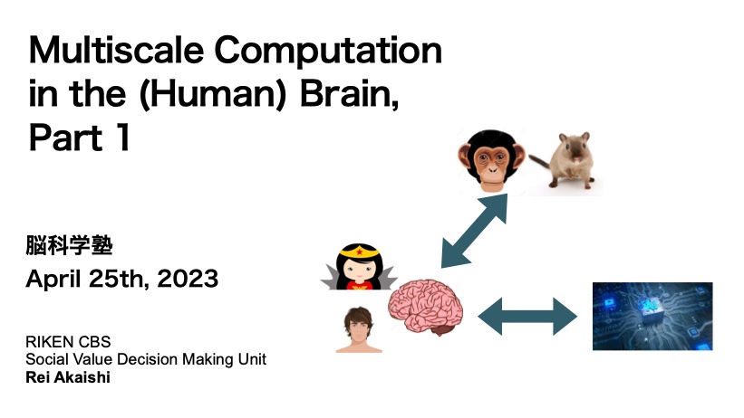 rei_akaishi's tweet image. I will be presenting a lecture on multi-scale computation in the human brain at the Brain Science Training Program (#脳科学塾, #BSTP) on April 25th.