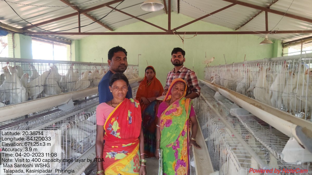 Veterinary Assistant Surgeon (Phiringia) visited different Layar units established by ITDA in Kasinipadar gp of Phiringia block and guided WSHG members regarding summer management of birds. #OVS #Veterinarian <a href="/CMO_Odisha/">CMO Odisha</a> <a href="/dahvsodisha/">Directorate of AH&VS Odisha</a> @farddept <a href="/DMKandhamal/">Collector Kandhamal</a> <a href="/rajaaswain/">Ranendra Pratap Swain</a> <a href="/MoSarkar5T/">MoSarkar 5T</a>