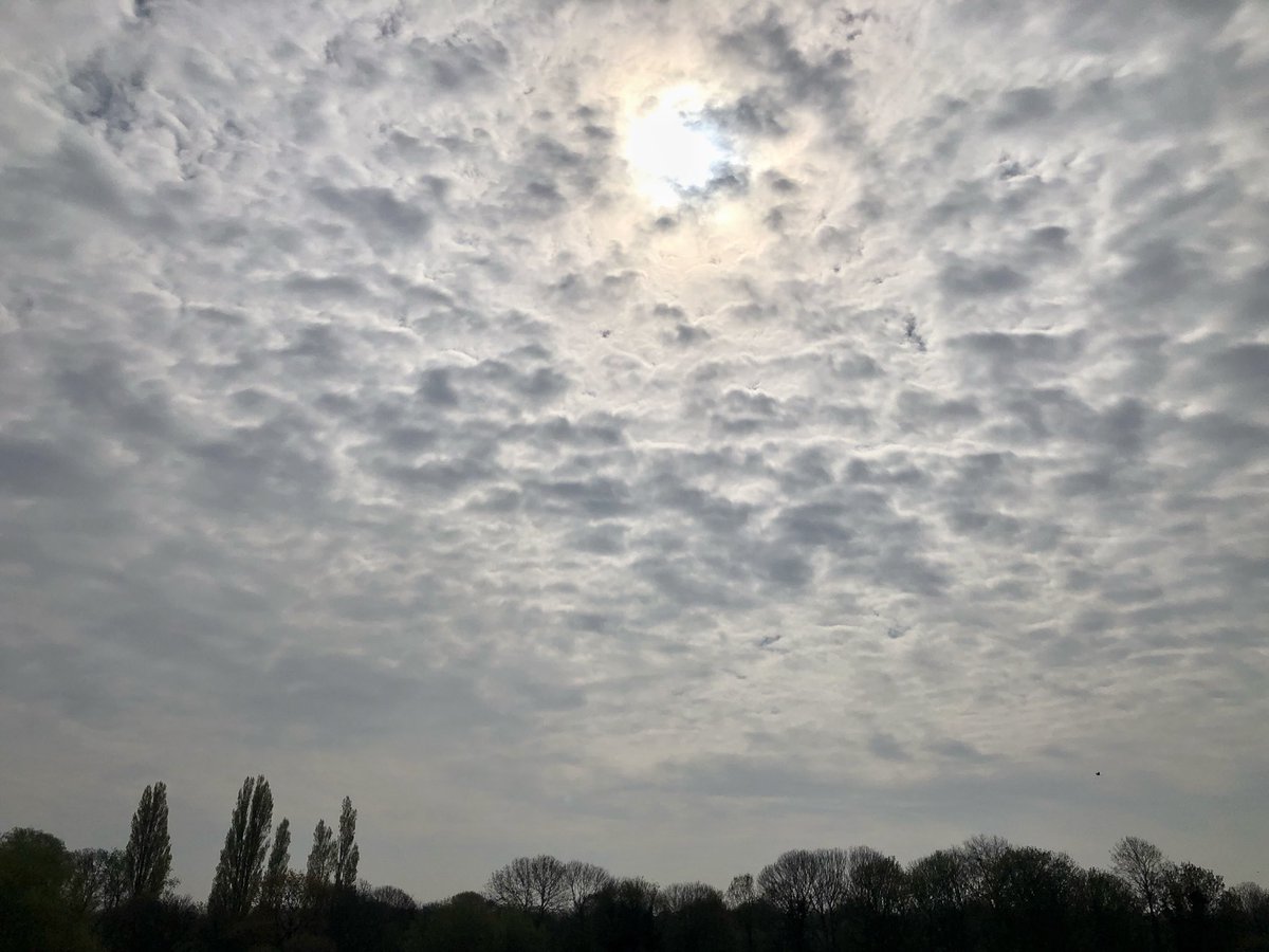 ruths_gallery's tweet photo. Watching the clouds and the sun that is trying so hard to pierce through them over Twickenham.
@metoffice #loveUKweather #clouds @ChrisPage90 #shotoniphone @CloudAppSoc #altocumulusclouds https://t.co/UP2uuTisfE