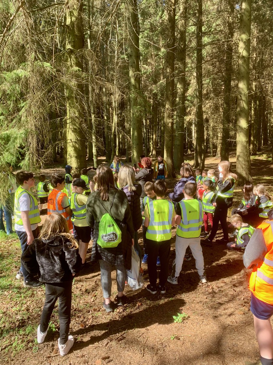 Meigle and Ardler Community Development Trust tweet media