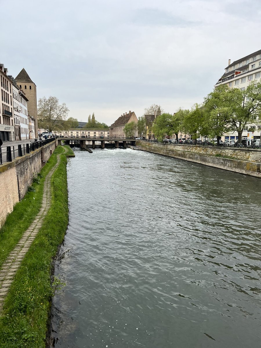 Jonathan Boyle tweet media