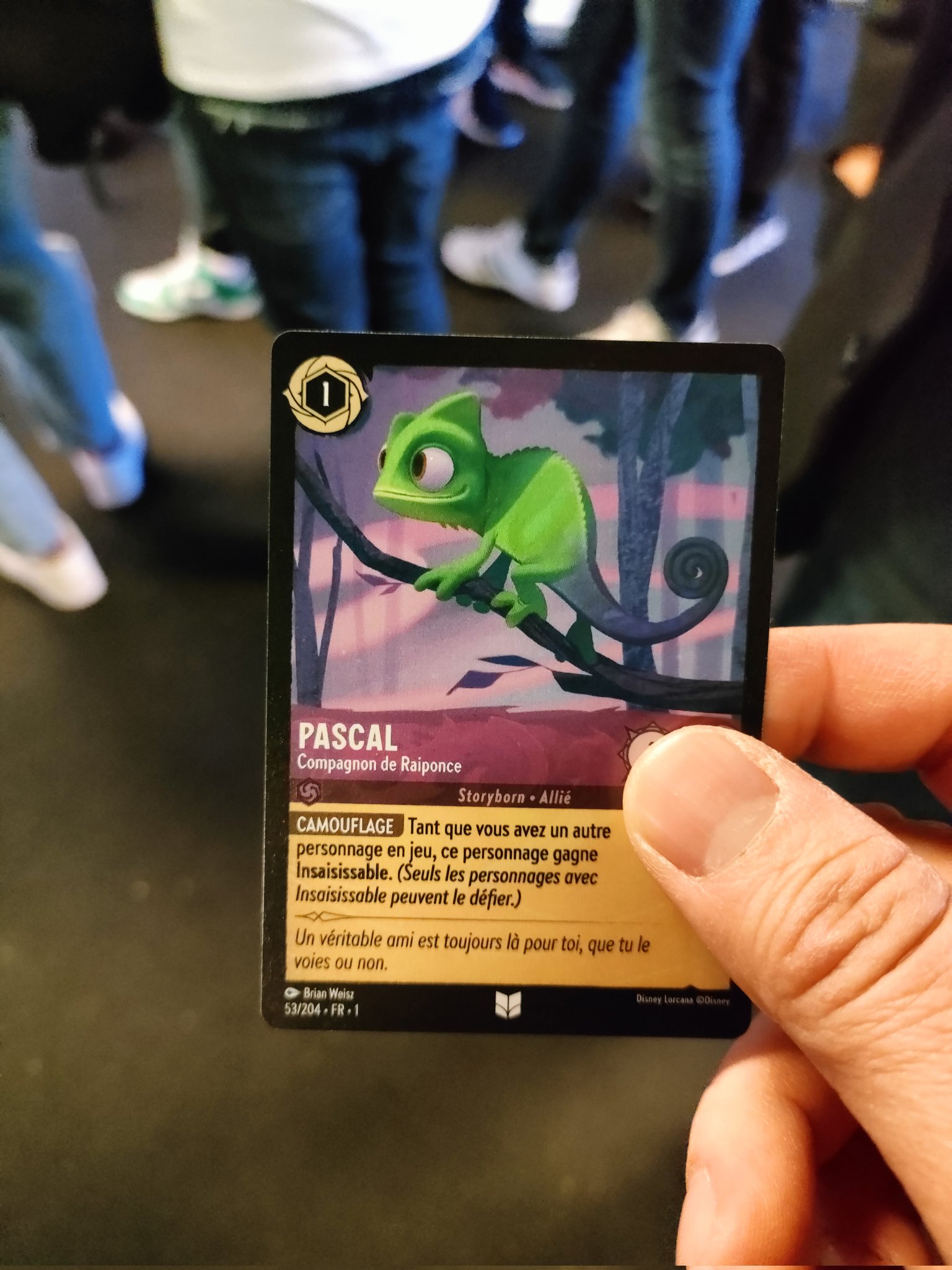 Pascal - Compagnon de Raiponce - Premier chapitre card 53/204