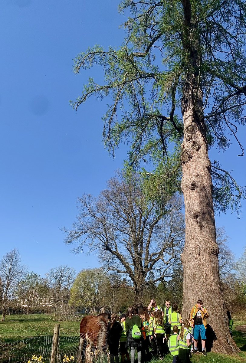 Meigle and Ardler Community Development Trust tweet media