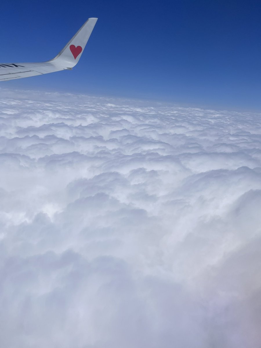 nohahiro4's tweet photo. 飛行機の中から見た雲があまりにもモクモクとしていたのでパチリ。
雲の上は真っ青の空でした✨

現在、次のうきは教室までのバス移動。
夕焼け空も素敵です。

今日は、なぜか飛行機の中で涙が溢れてきました。
父を亡くしてまもなく1年。
こんな日もありますね。 https://t.co/jcMxPKgZ47
