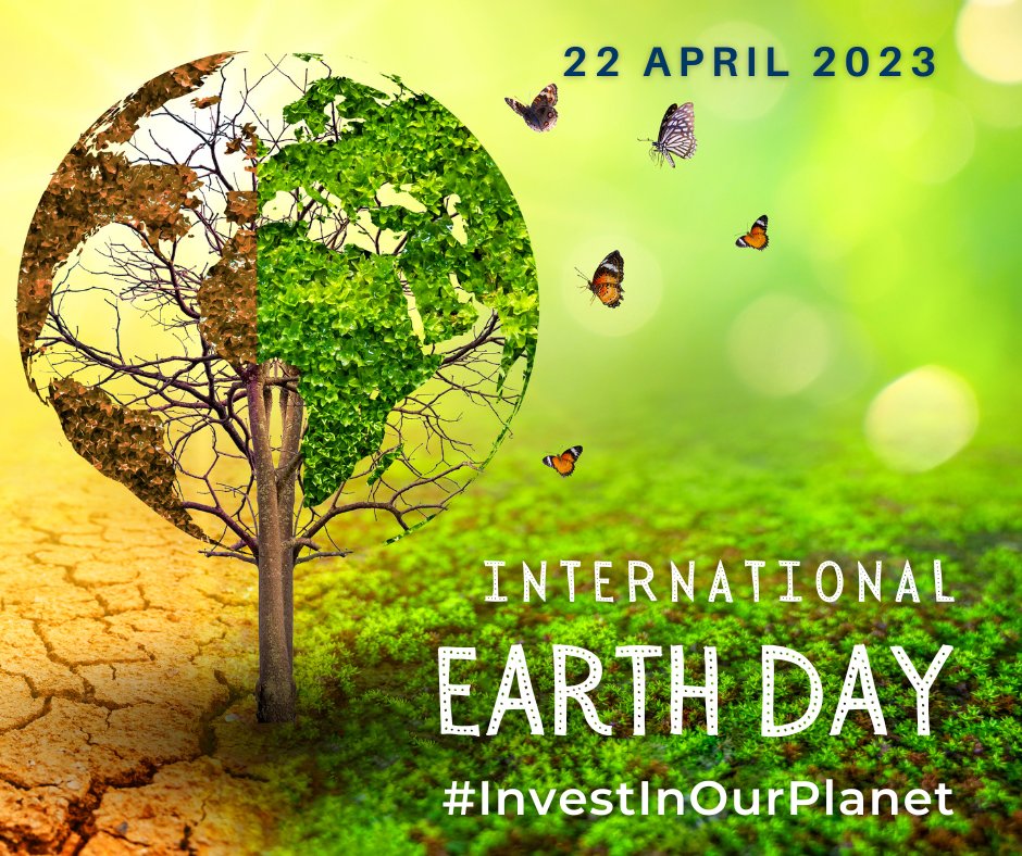 Kerry Convention Bureau tweet media