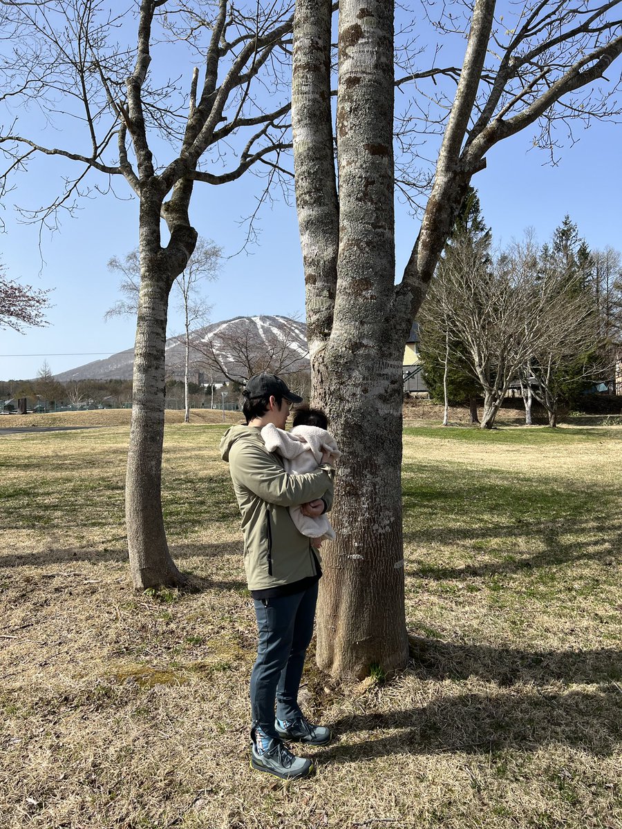 TakehiroSaito's tweet photo. 「これは木だよ」って教えてます。 https://t.co/1CkKEkvIsv